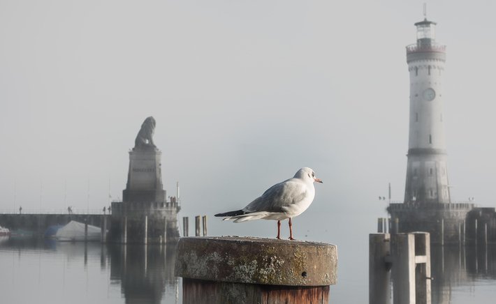 Fog Signals and the Language of the Harbor